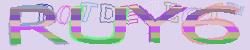 Please input captcha code