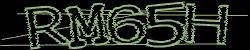 Please input captcha code