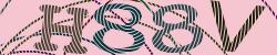 Please input captcha code