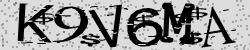 Please input captcha code