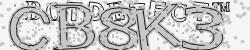 Please input captcha code