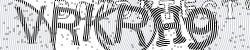 Please input captcha code