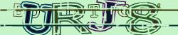Please input captcha code