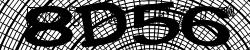 Please input captcha code