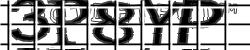 Please input captcha code