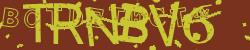 Please input captcha code