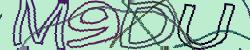 Please input captcha code