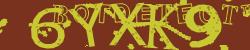 Please input captcha code