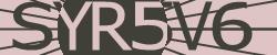 Please input captcha code