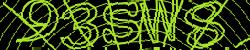 Please input captcha code