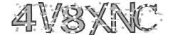 Please input captcha code