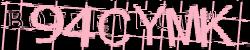 Please input captcha code