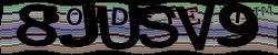 Please input captcha code
