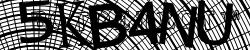 Please input captcha code