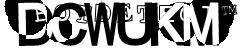 Please input captcha code