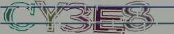 Please input captcha code