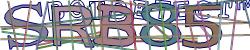 Please input captcha code