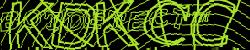 Please input captcha code
