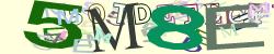 Please input captcha code