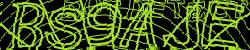 Please input captcha code
