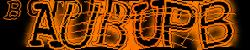 Please input captcha code