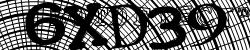 Please input captcha code