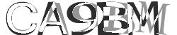 Please input captcha code