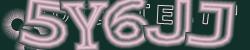 Please input captcha code