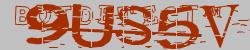 Please input captcha code
