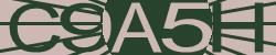 Please input captcha code