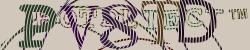 Please input captcha code