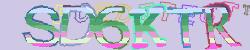 Please input captcha code