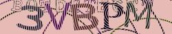 Please input captcha code