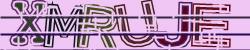 Please input captcha code