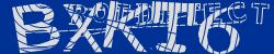 Please input captcha code