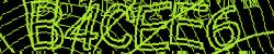 Please input captcha code
