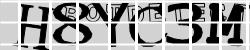 Please input captcha code