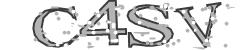 Please input captcha code