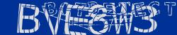 Please input captcha code