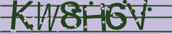 Please input captcha code