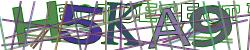 Please input captcha code