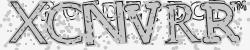 Please input captcha code
