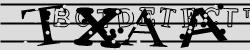 Please input captcha code