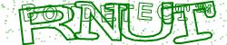 Please input captcha code