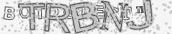 Please input captcha code