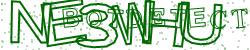Please input captcha code