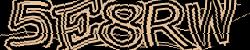 Please input captcha code