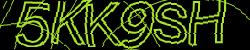 Please input captcha code