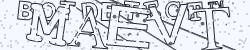 Please input captcha code