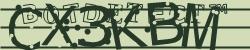 Please input captcha code